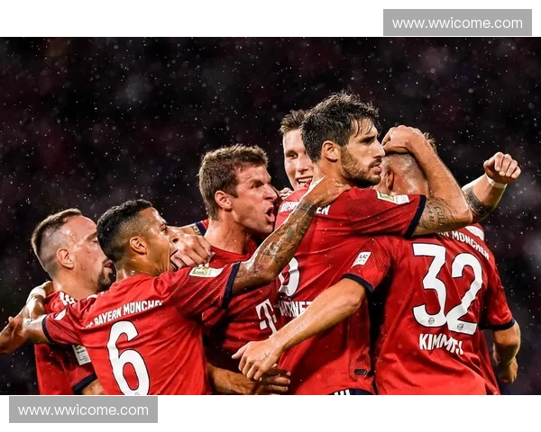 霍芬海姆足球俱乐部发展历程及其在德甲联赛中的崛起之路