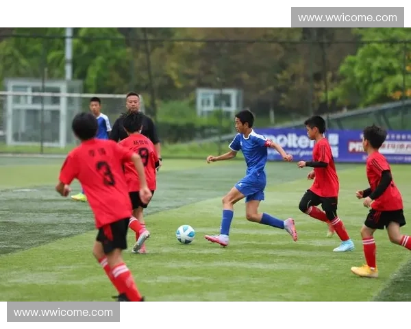 以2014年全国青少年足球联赛为契机探讨我国青少年足球发展路径与培养模式